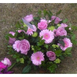 Sympathy 18 - Prices start from £45.00